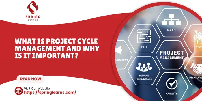 What is Project Cycle Management, and why is it Important?